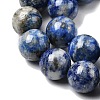 Natural Lapis Lazuli Beads Strands G-G344-A09-10mm-4