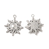 Non-Tarnish 304 Stainless Steel Pendants STAS-A070-14P-1