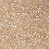 12/0 Glass Seed Beads SEED-US0003-2mm-102-2