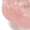 Resin Incense Burners DJEW-H012-01A-4