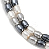Electroplated Shell Pearl Beads Strands BSHE-H113-06B-02-3