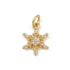 Brass Micro Pave Cubic Zirconia Charms LS-KK-H077-02G-04-1