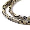 Natural Dalmatian Jasper Beads Strands G-F247-21-3
