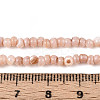 Natural Freshwater Shell Dyed Beads Strands SHEL-T020-29B-05-4