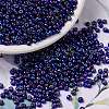 MIYUKI Round Rocailles Beads X-SEED-G008-RR1020-1