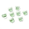 Transparent Glass Beads GLAA-P037-02A-04-1