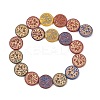 Painted Glass Beads Strands X-GLAA-F133-07G-2