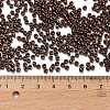 TOHO 8/0 Round Beads SEED-TR08-0501-4