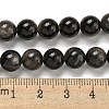 Natural Silver Obsidian Beads Strands X-G-S150-20A-8mm-5