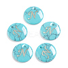 Synthetic Turquoise Charms G-L561-001N-1