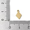 304 Stainless Steel Charms LS-STAS-E501-05G-3