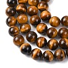 Natural Tiger Eye Beads Strands G-H329-C07-14mm-4