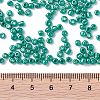 8/0 Glass Seed Beads X-SEED-A017-3mm-1118-3