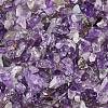 Natural Amethyst Chip Beads G-L453-06-1