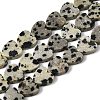 Natural Dalmatian Jasper Beads Strands G-M403-A31-03-2