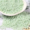 Baking Paint Glass Seed Beads SEED-P006-03A-33-1
