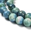 Dyed Natural Fire Crackle Agate Beads Strands G-G203-09A-10mm-4