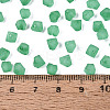 FGB Frosted Transparent Glass Seed Beads SEED-N013-03A-09-4