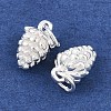 925 Sterling Silver Charms STER-I024-01S-2