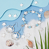 4 Strands Natural Freshwater Shell Beads Strands SHEL-BBC0001-15-4