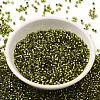 Glass Seed Beads X-SEED-S042-04B-25-2