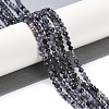 Natural Iolite Beads Strands G-G139-A11-03-2