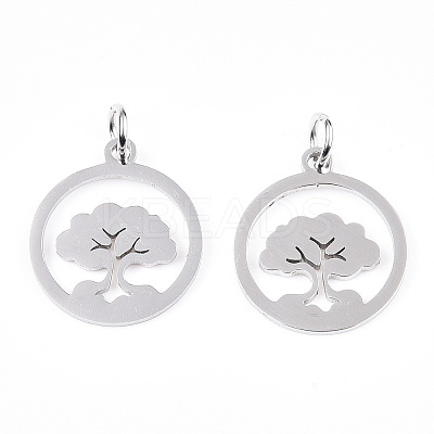 Non-Tarnish 304 Stainless Steel Pendants STAS-N103-03P-1