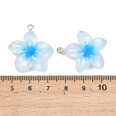 Transparent Resin Pendants RESI-P048-01P-1