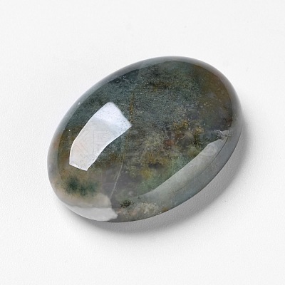 Natural Moss Agate Cabochons X-G-F296-09-22x30mm-1