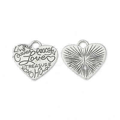 Alloy Pendants LS-PALLOY-20161-AS-RS-1