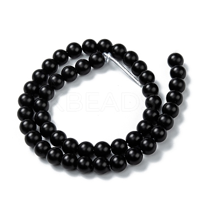 Natural Black Onyx Beads Strands G-Z024-01B-1
