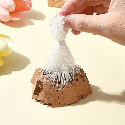 100Pcs Kraft Paper Tags AJEW-FS0001-14-1