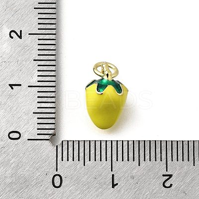 Brass with Enamel Charms KK-Q066-01A-G-1