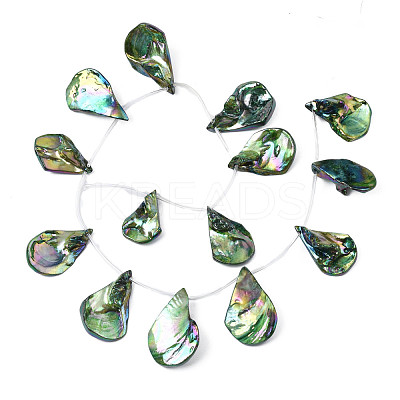 Electroplated Natural Freshwater Shell Beads SHEL-N026-196-1