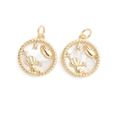 Brass Micro Pave Cubic Zirconia Pendants ZIRC-E164-36C-G-1