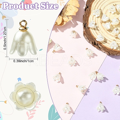 30Pcs Opaque Resin Imitation Pearl Charms FIND-YW0009-02-1