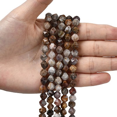 Natural Gobi Agate Beads Strands G-Z119-A36-02-1