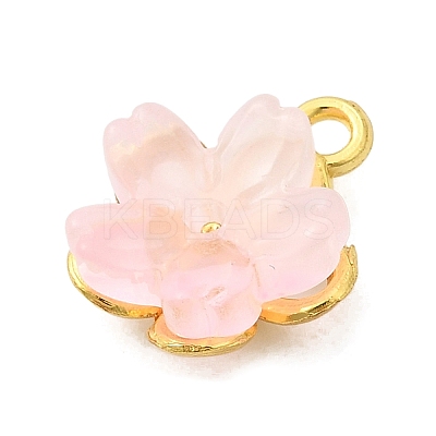 Alloy Glass Charms FIND-C079-05G-01-1
