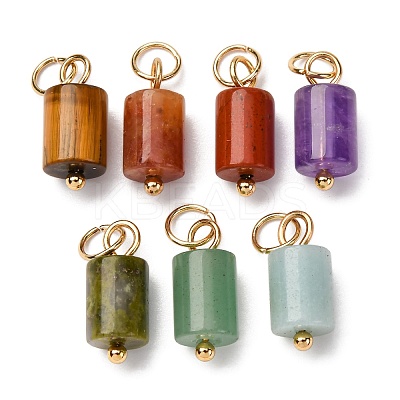Natural Mixed Gemstone Column Charms with 304 Stainless Steel Jump Rings G-Q032-01-1