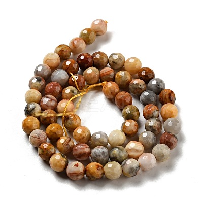 Natural Crazy Lace Agate Beads Strands G-E571-36A-1