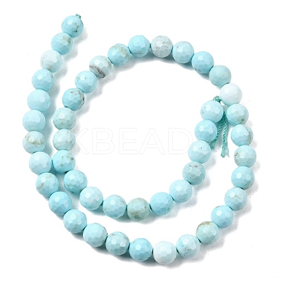 Natural Magnesite Beads Strands G-P598-E-8mm-01-1