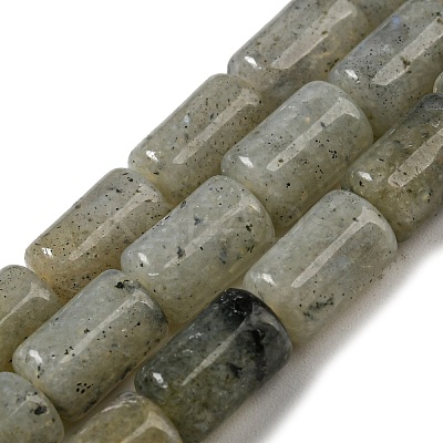 Natural Labradorite Beads Strands G-M420-E01-03-1