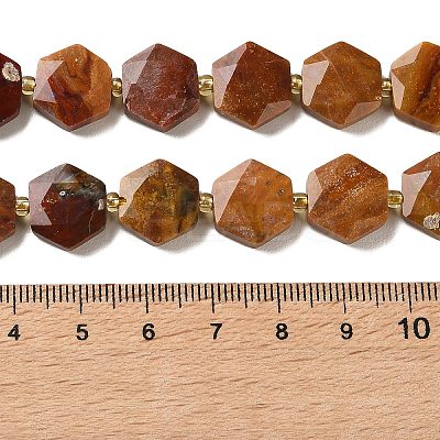 Natural Petrified Wood Beads Strands G-H344-B03-01-1