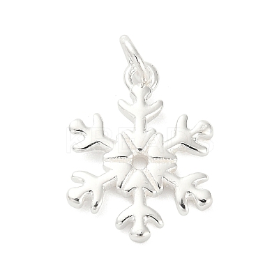 925 Sterling Silver Pendants FIND-Z069-04S-B-1