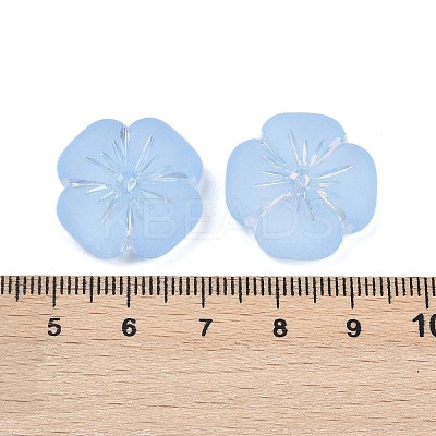 Frosted Transparent Acrylic Beads OACR-P029-19B-01-1