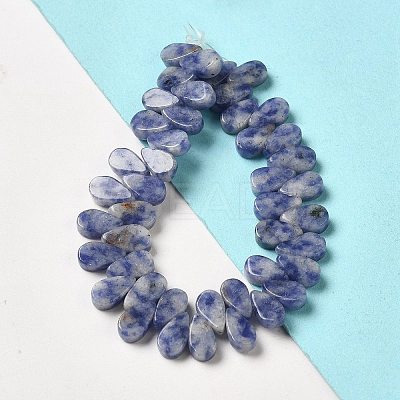 Natural Blue Spot Jasper Beads Strands G-B064-B59-1