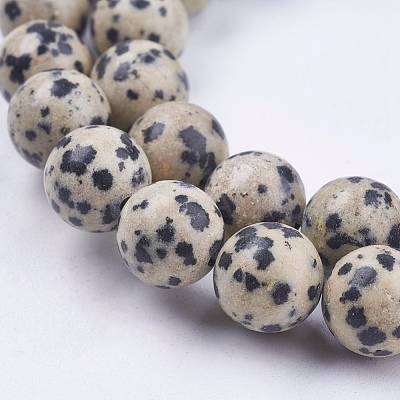 Natural Dalmatian Jasper Stone Bead Strands X-G-R193-14-10mm-1
