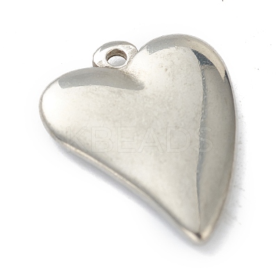 Non-Tarnish 304 Stainless Steel Pendants STAS-G244-23P-1