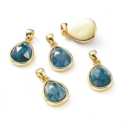 Natural Apatite Charms G-L553-47G-1
