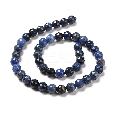 Natural Dumortierite Beads Strands G-E571-06B-1